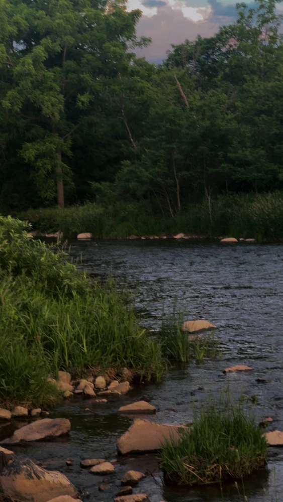 Image uploaded by Ej
