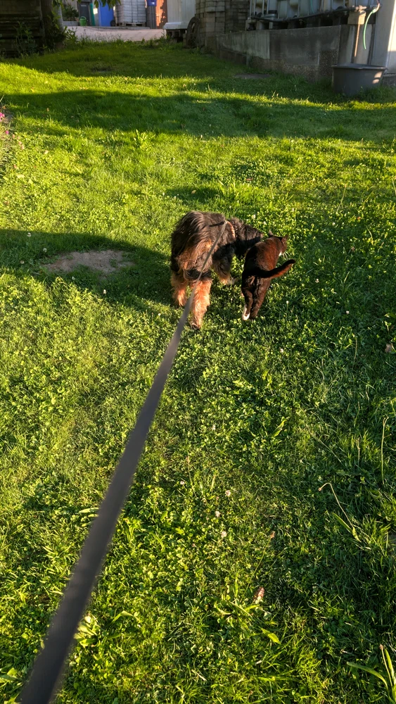 GIF hochgeladen von Simon