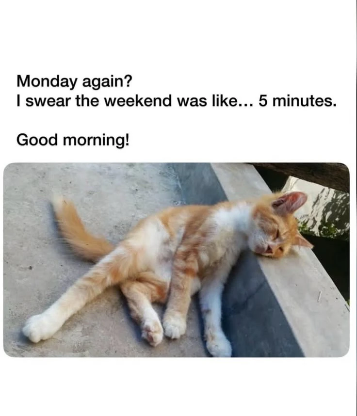 GIF uploaded by Mademoiselle Amy
