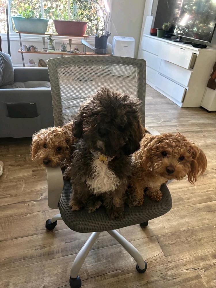 GIF uploaded by Talia
