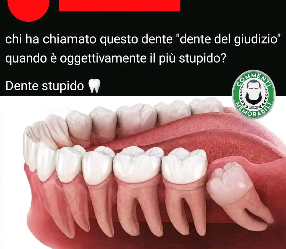 GIF caricata da Sara