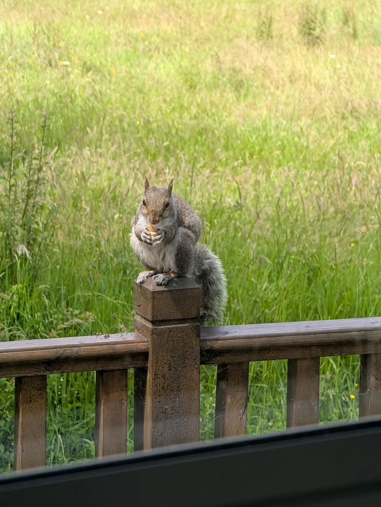 GIF uploaded by Dom