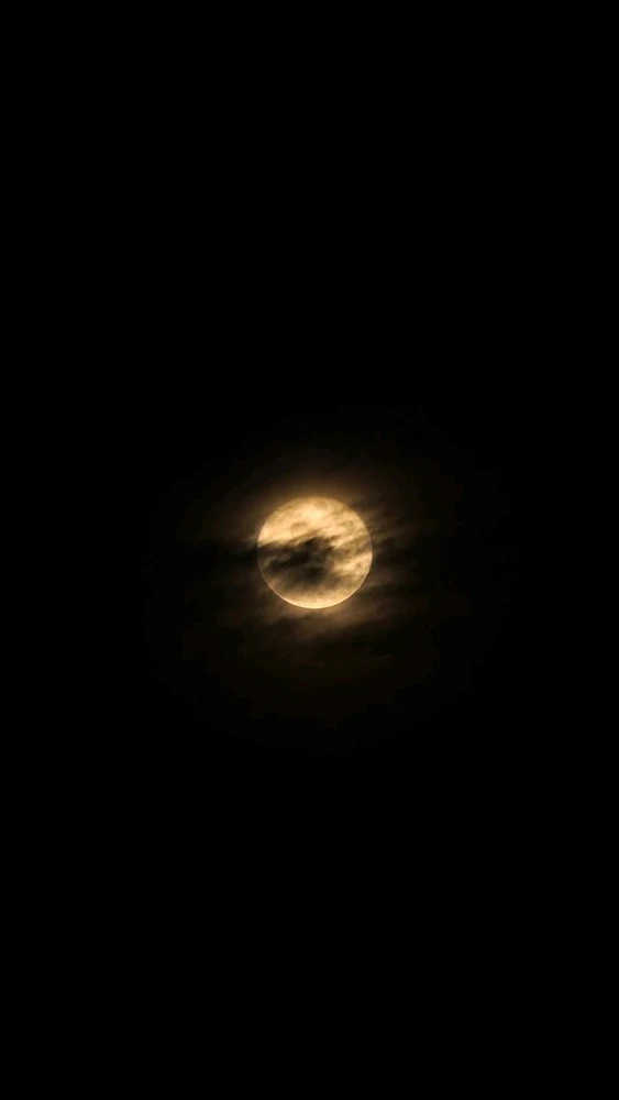 GIF uploaded by Sumit