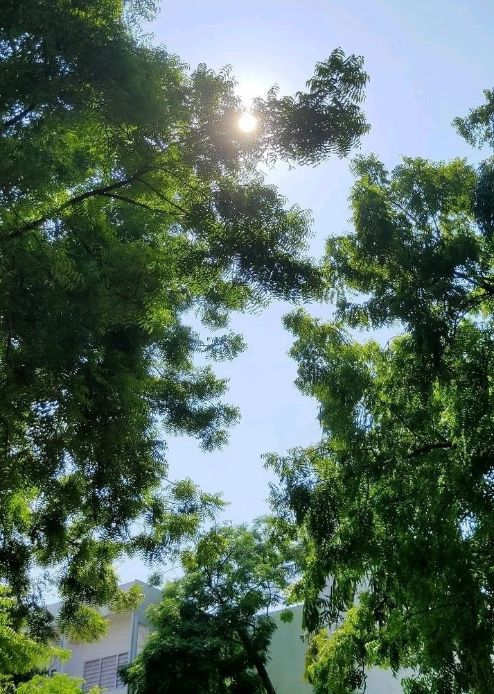 GIF uploaded by Krish