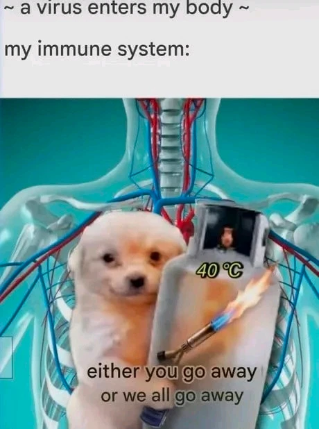 GIF uploaded by Nolan