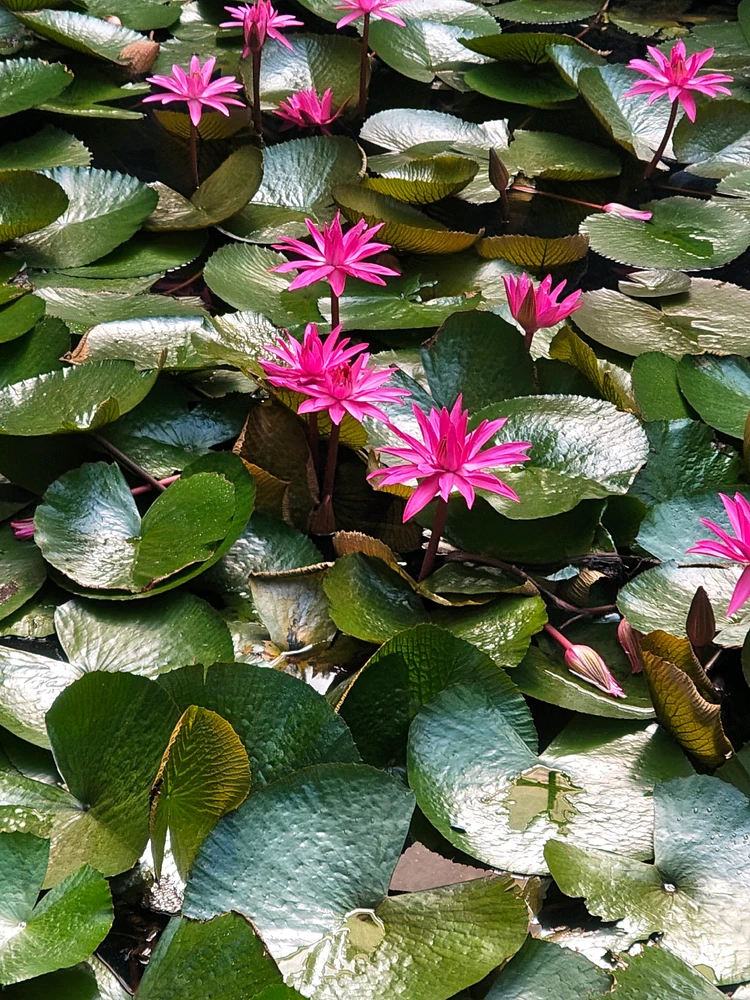 GIF uploaded by Anush