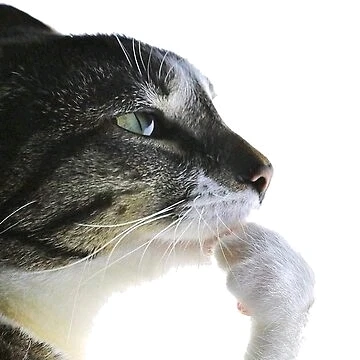 GIF uploaded by Oscar