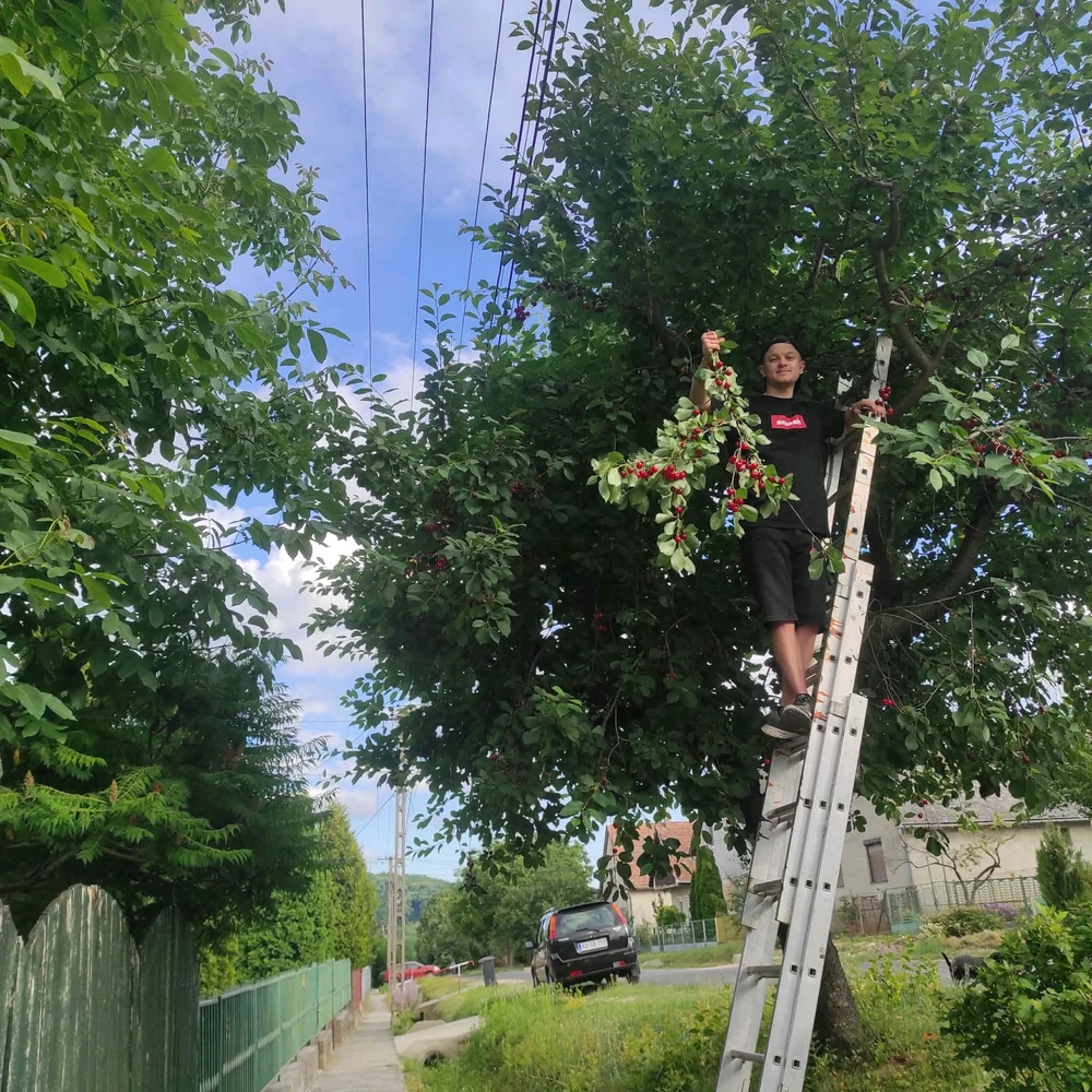 Image uploaded by Szabolcs