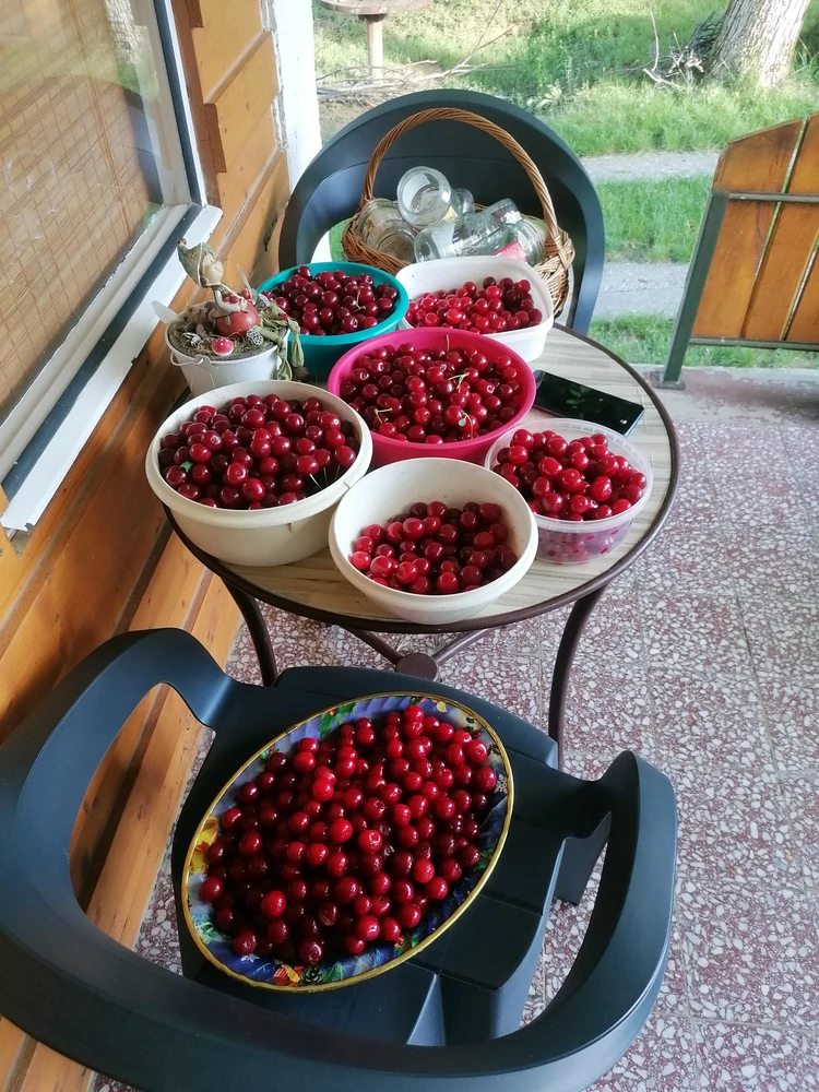 Image uploaded by Szabolcs