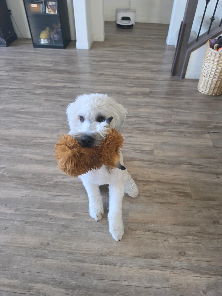 GIF uploaded by AJ