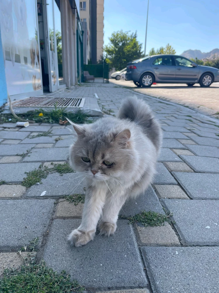 GIF uploaded by Eros