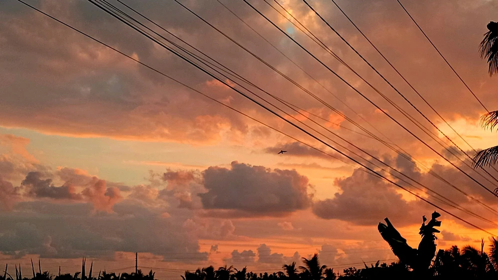 GIF uploaded by DEN