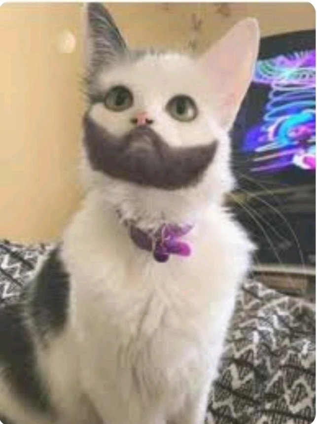 GIF uploaded by Andy