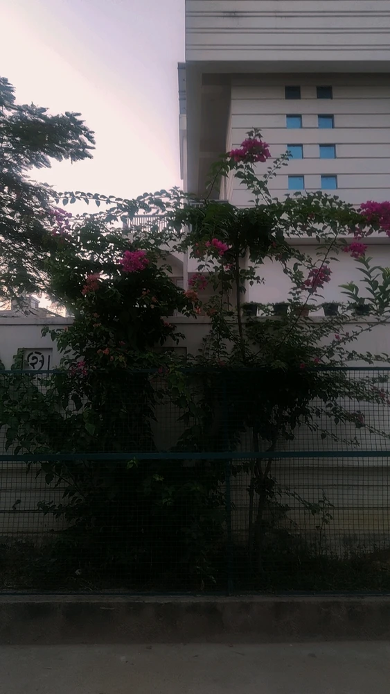 GIF uploaded by G