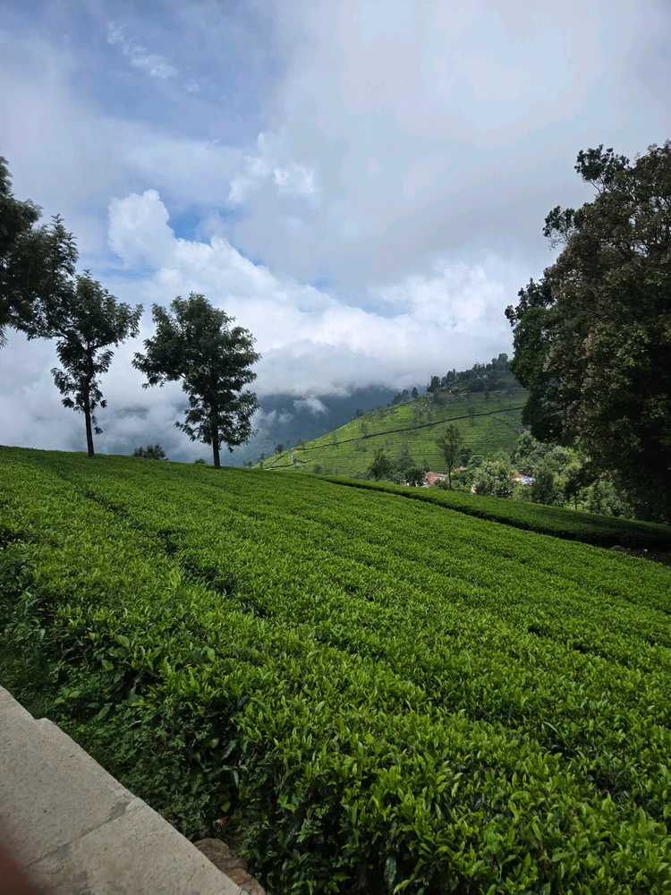 GIF uploaded by Suraj