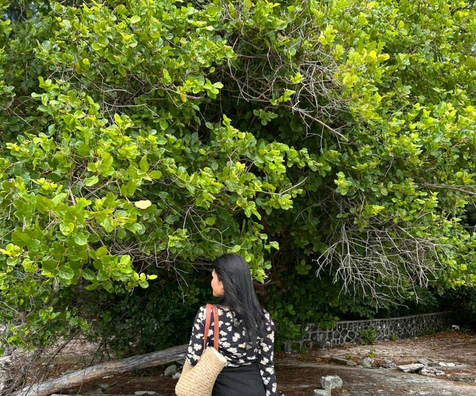 GIF uploaded by Tella