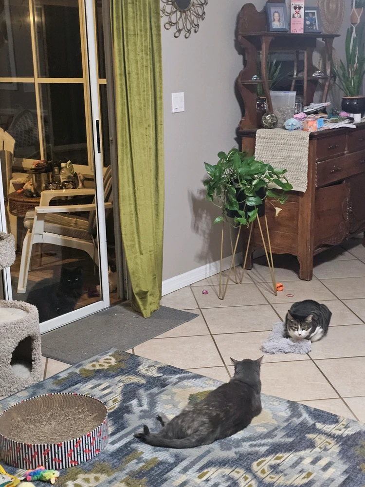 GIF uploaded by Chad