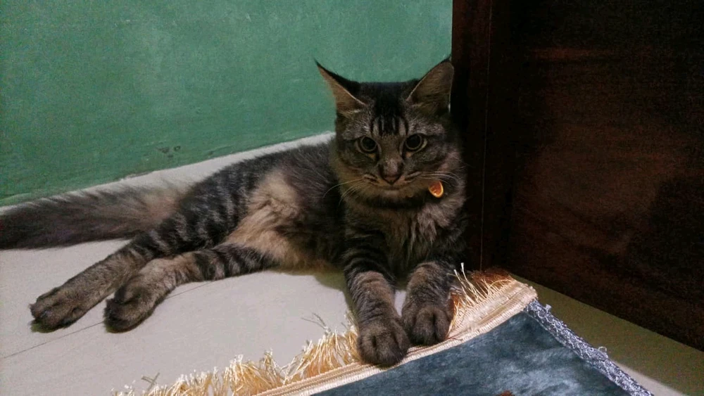 GIF uploaded by hr