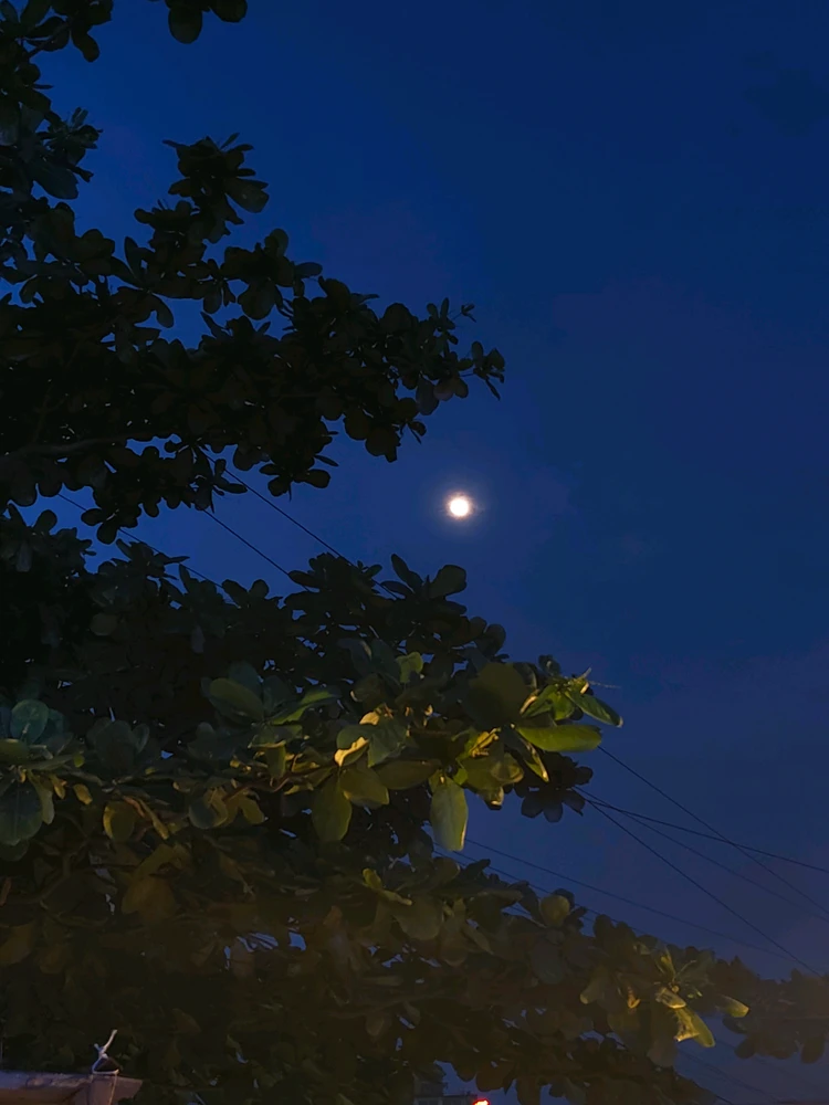 GIF uploaded by Anik