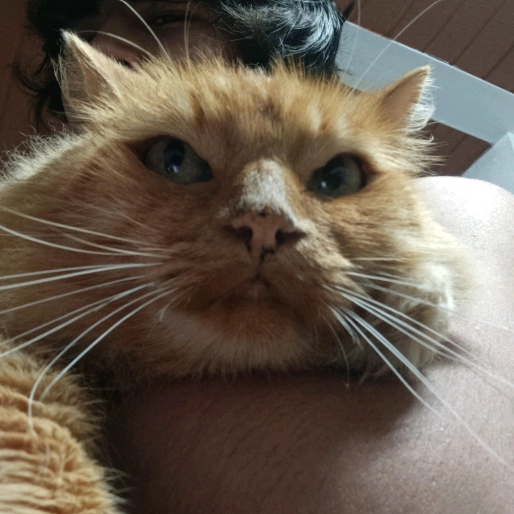 GIF subido por Samael