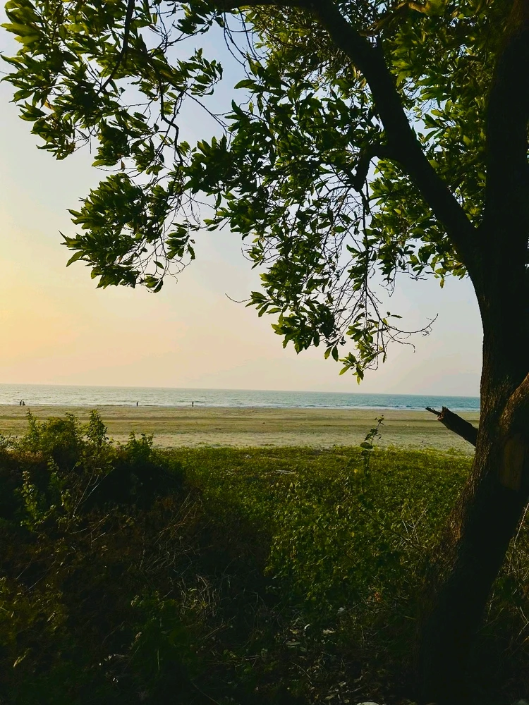 GIF uploaded by Anik