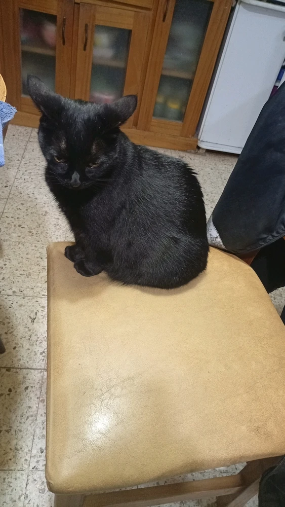 GIF subido por Agustín