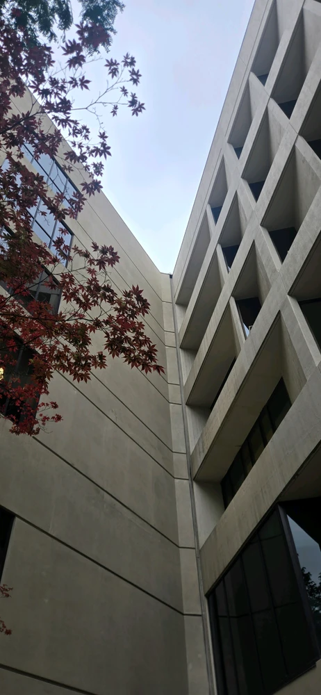 GIF uploaded by Jeremiah