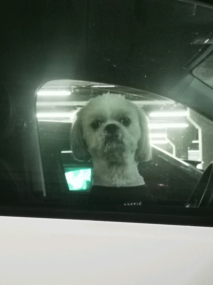 GIF uploaded by Carlos Arvela