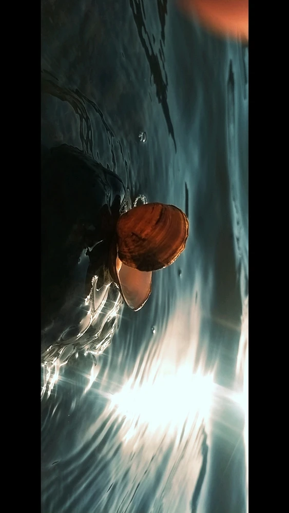GIF uploaded by wolf