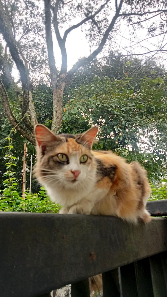 GIF uploaded by Afaar