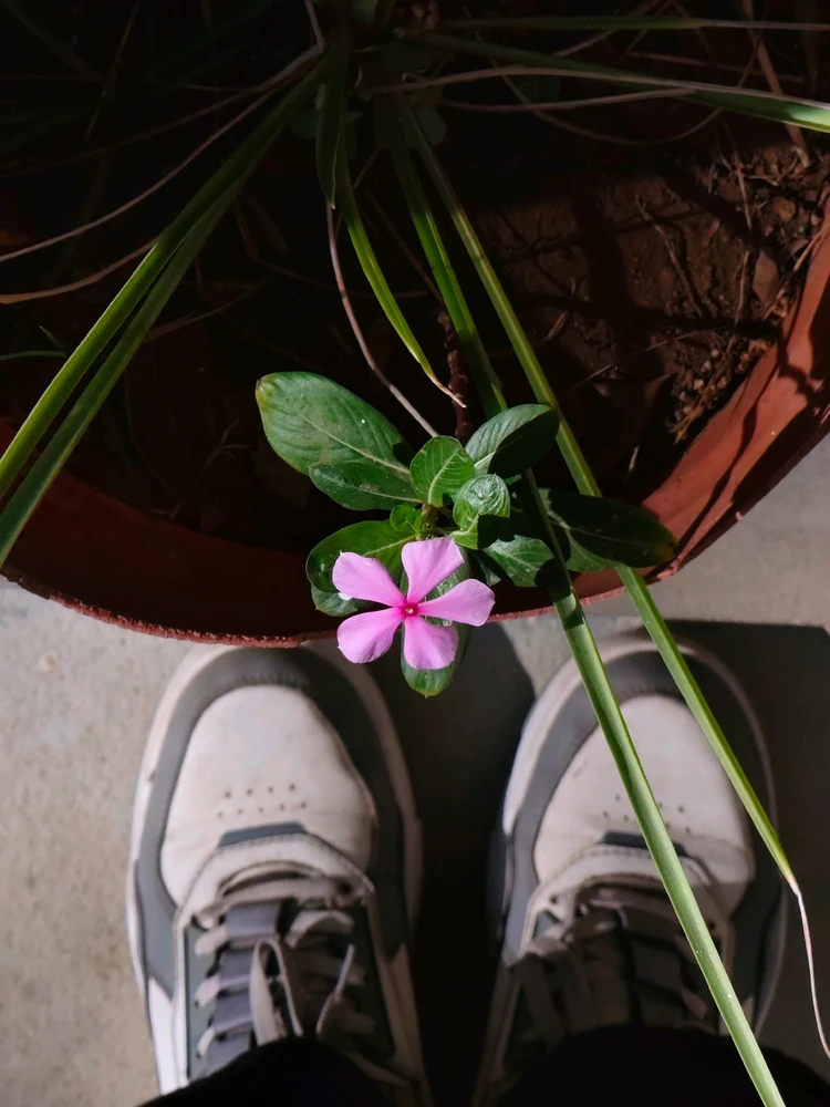 GIF uploaded by Sahil