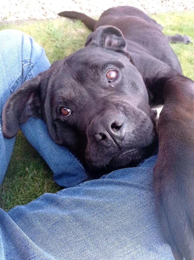 Bild hochgeladen von Buddy