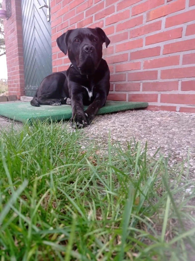 Bild hochgeladen von Buddy