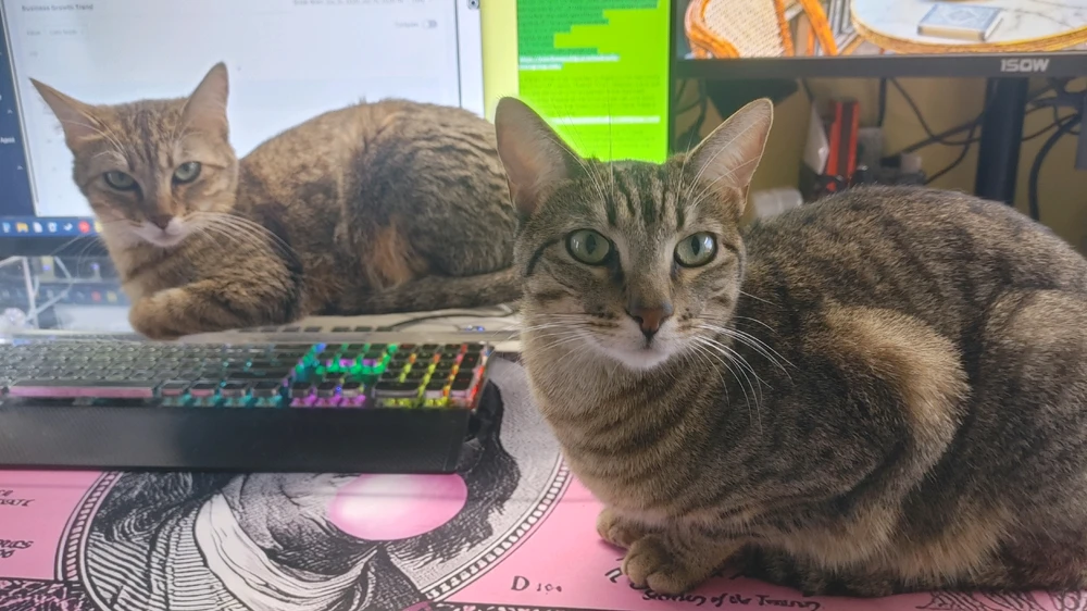 GIF uploaded by ❤ Sophia aka Mango Mami ❤️