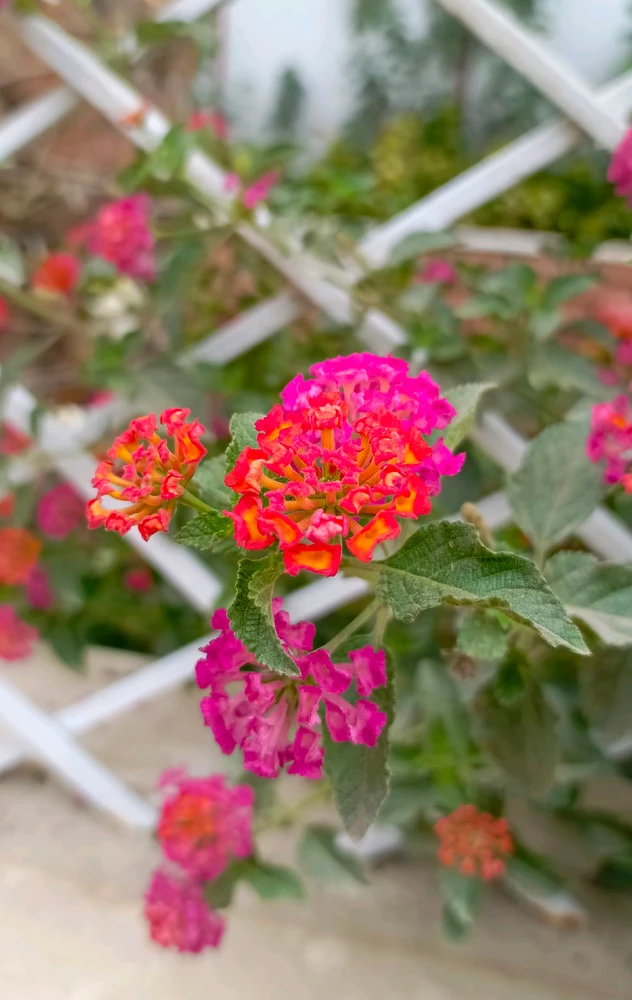 GIF uploaded by 𝑨𝒏𝒆𝒆𝒍..