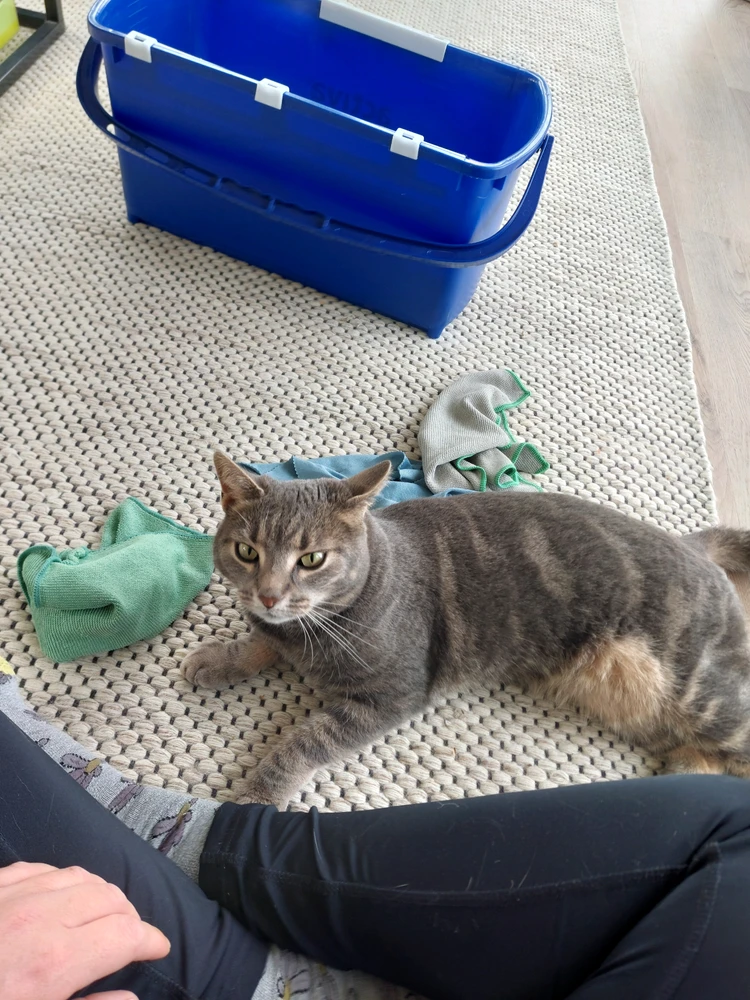 GIF uploaded by Lotta