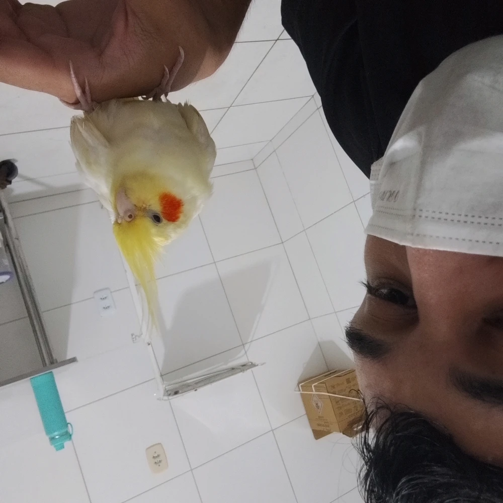 GIF enviado por Pedro