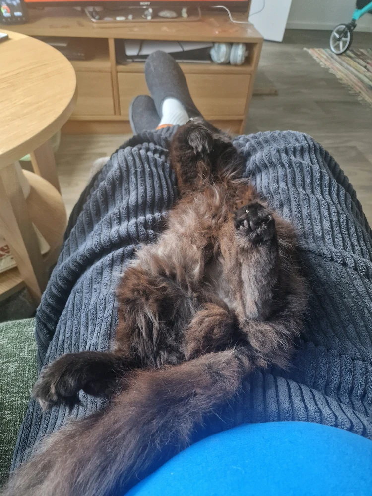 Bild eropgeluede vum Phil