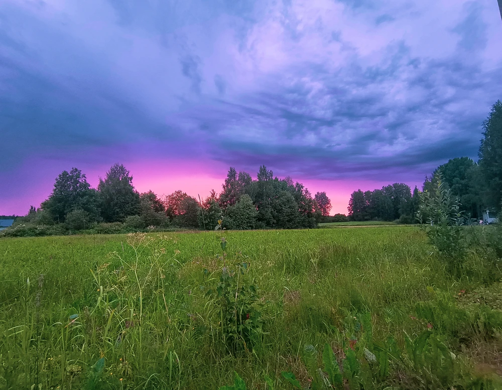 Image uploaded by Sulei