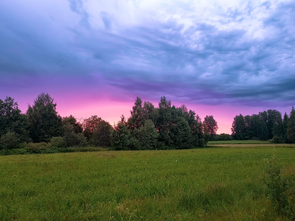 Image uploaded by Sulei