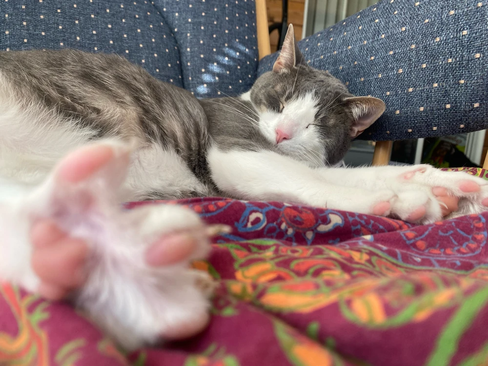 GIF uploaded by Jadyn