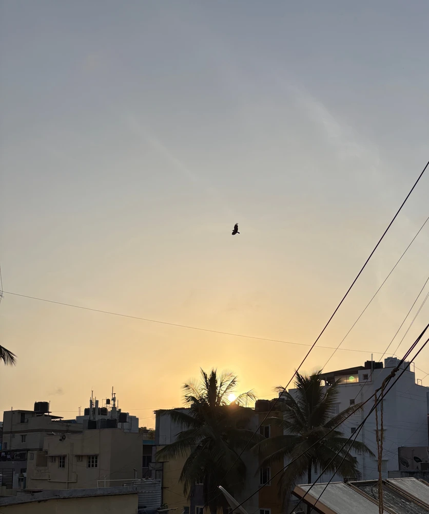 GIF uploaded by NY