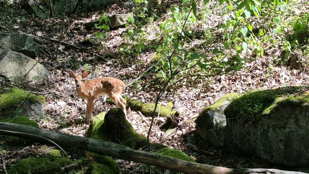 GIF uploaded by Omid