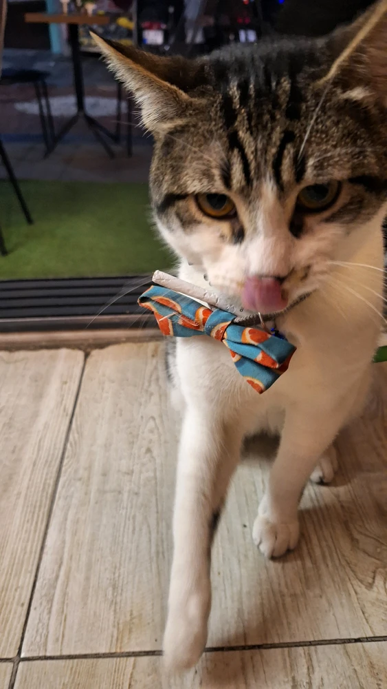 Image uploaded by alp
