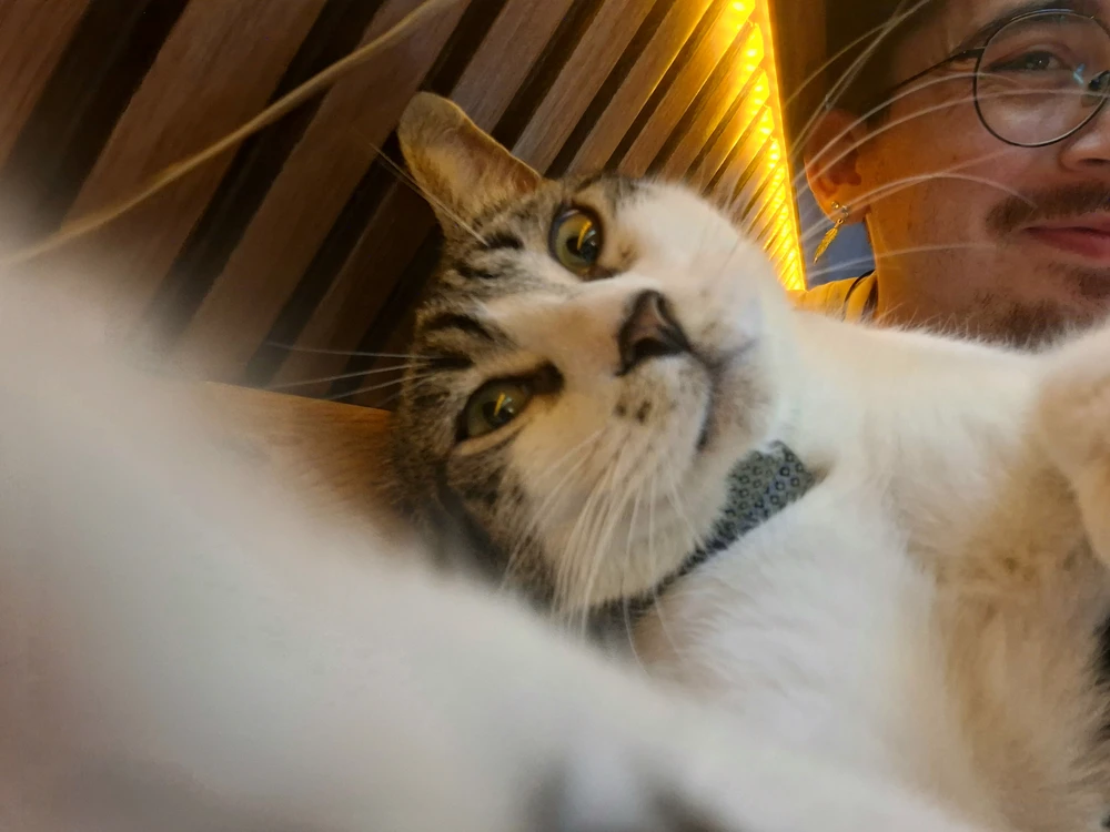 Image uploaded by alp