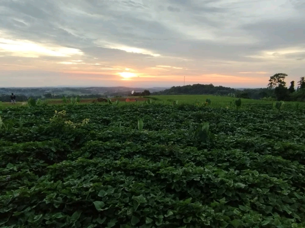 GIF uploaded by hr