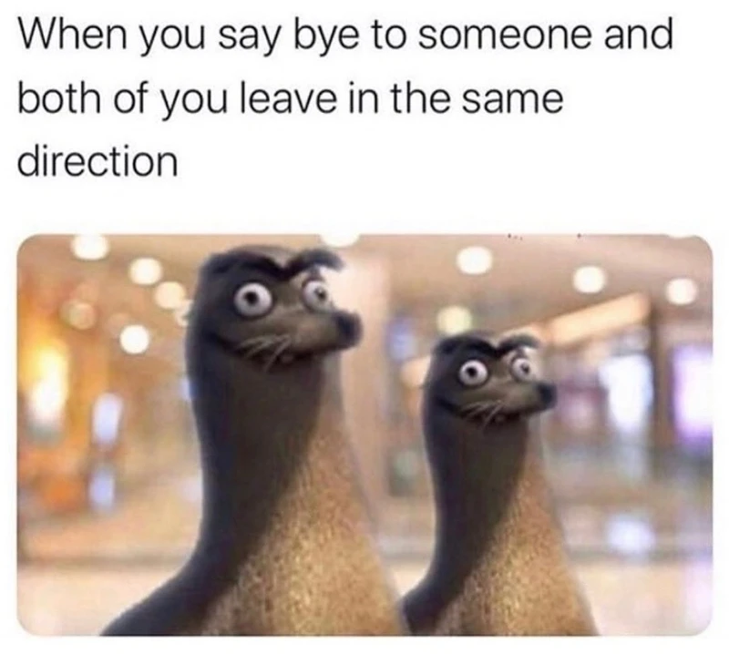 GIF uploaded by Benjiggity