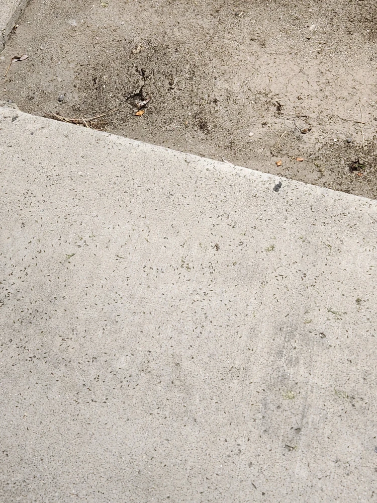 GIF uploaded by Diamond