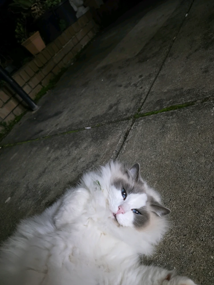 Image uploaded by Beau