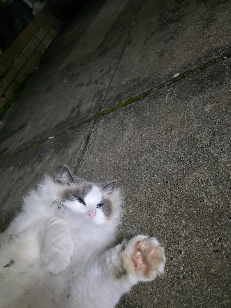 Image uploaded by Beau